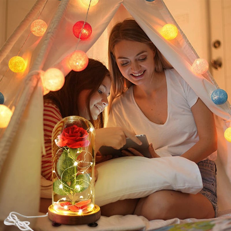 Dream of Flowers Beauty and The Beast Rose Birthday Gifts for Women, Valentine's Day Gifts for her, Eternal Rose Artificial Flower Light Up Rose in Glass Dome, Glass Roes Flower Gifts for Wife/Girlfriend - Image 3